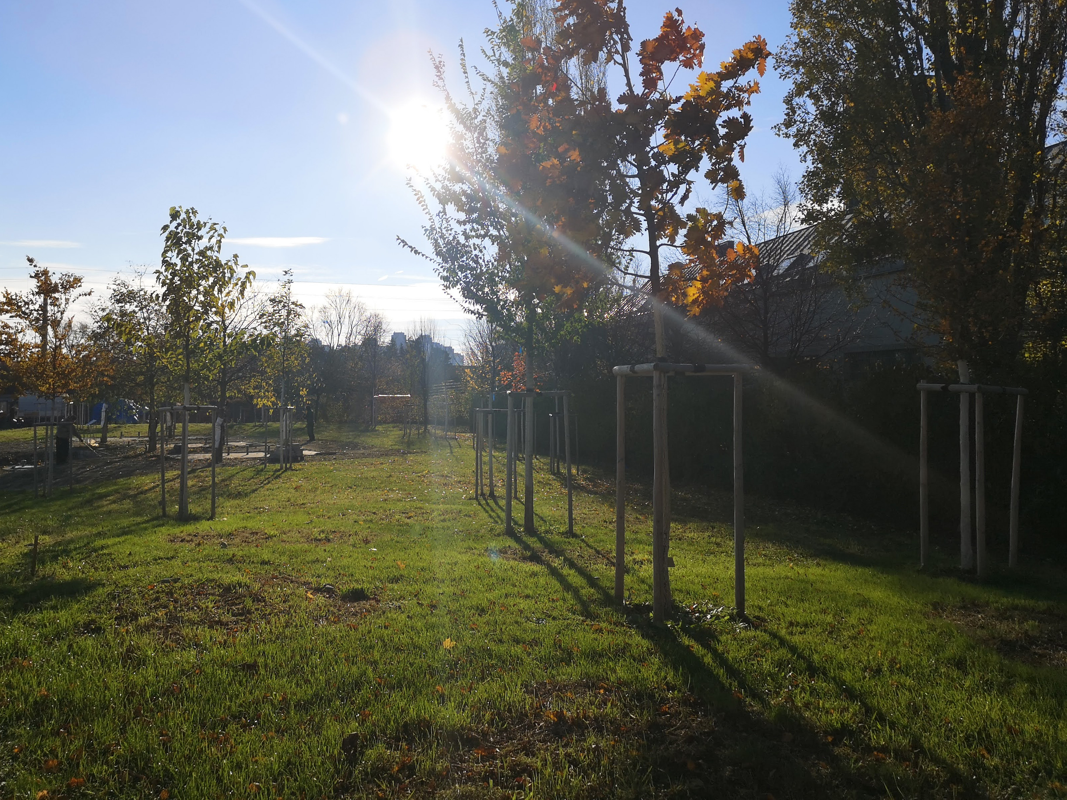 Klimabaumhain Wien – Graz – Innsbruck.jpg