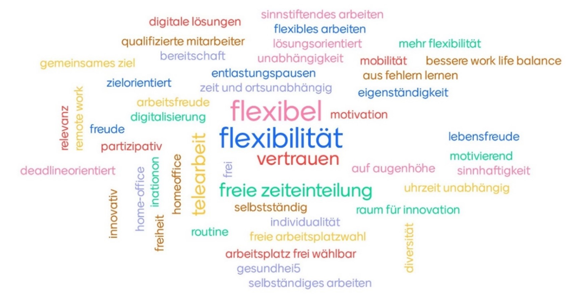 FoW meets SIAK-ZRU - Ein Reallabor für eine anpassungsfähige Arbeitsorganisation im BMI.jpg