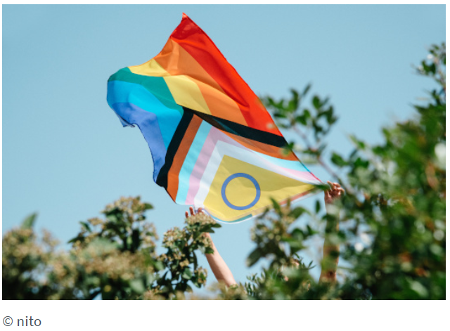 E-Learning-Tool zur Sensibilisierung von Gesundheitsfachkräften zu Gesundheit und zur Gesundheitsversorgung von LGBTIQ+-Personen.jpg